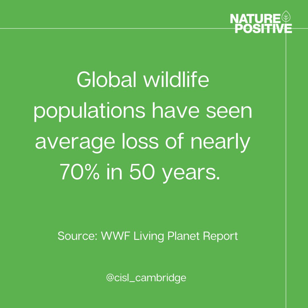 🐟#Nature holds intrinsic, cultural, economic, and health-generating values for each new generation. We need to rethink human dependencies and impacts on the natural world and empower local communities to take action.

Check out our #COP15 hub 
👉tinyurl.com/mrucv8xy