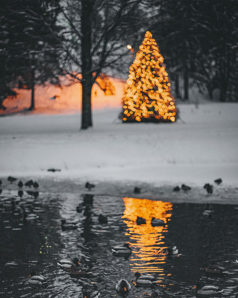 📸 Der Tag X rückt näher: X-Mas 😉 Objektiv: #TTArtisan 35mm F1.4 APS-C #fotografie Infos zum Objektiv: tt-artisan.de/35mm-f1-4-aps-c