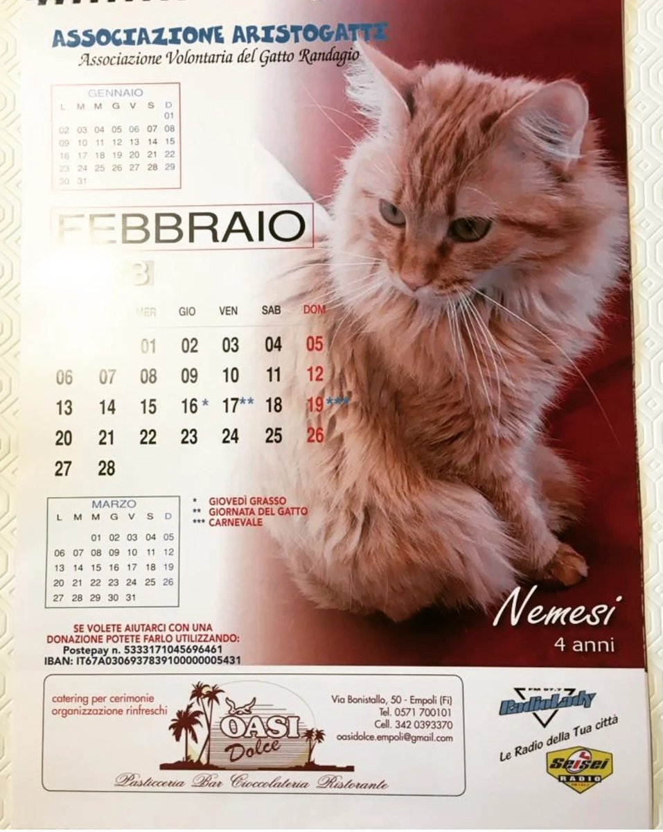 MrFox_86's tweet photo. Ora non voglio fare il genitore di parte ma insomma...Nem e stata scelta per un calendario 🐈😎❤️
#Nem #calendar #Divah https://t.co/pfRaaReBeE… https://t.co/l40sIGE3Jv