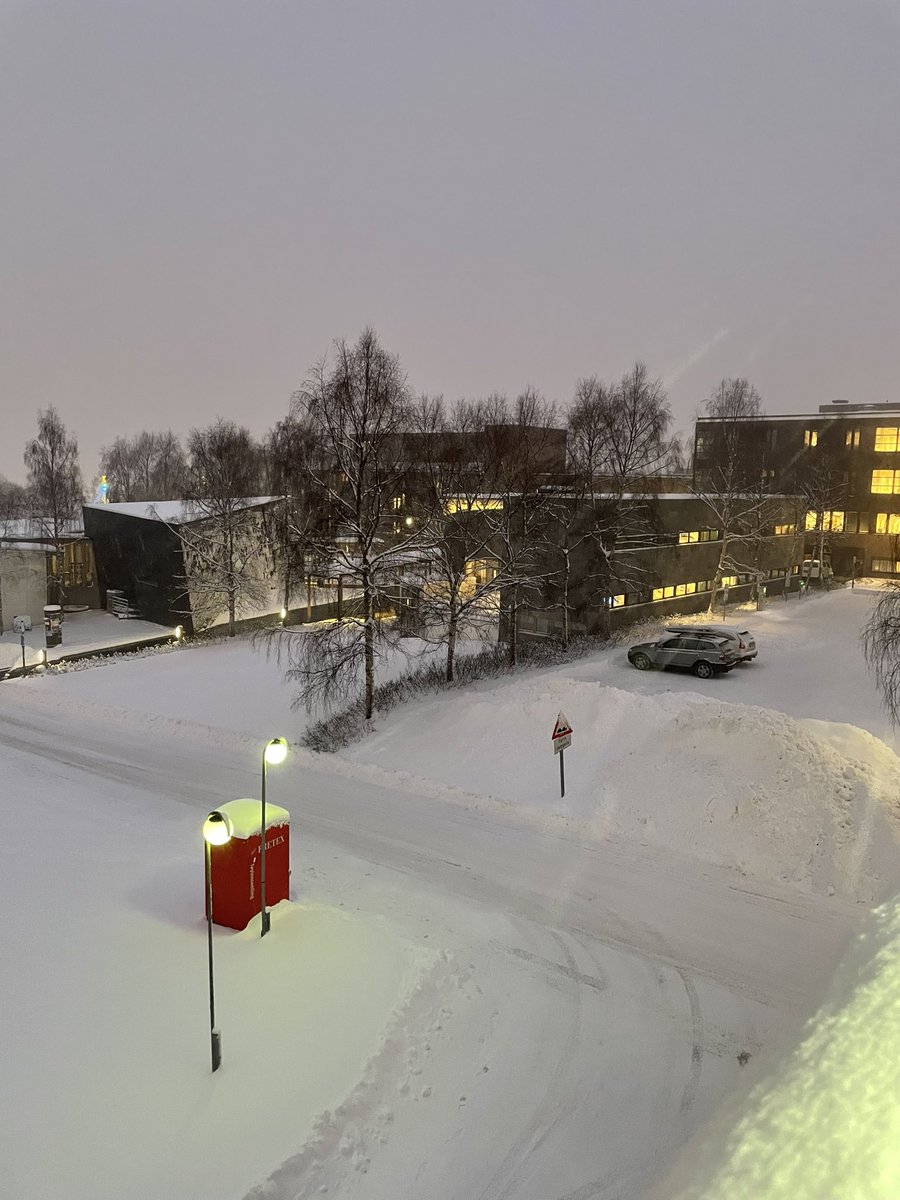 Runar Gjerp Solstad tweet media