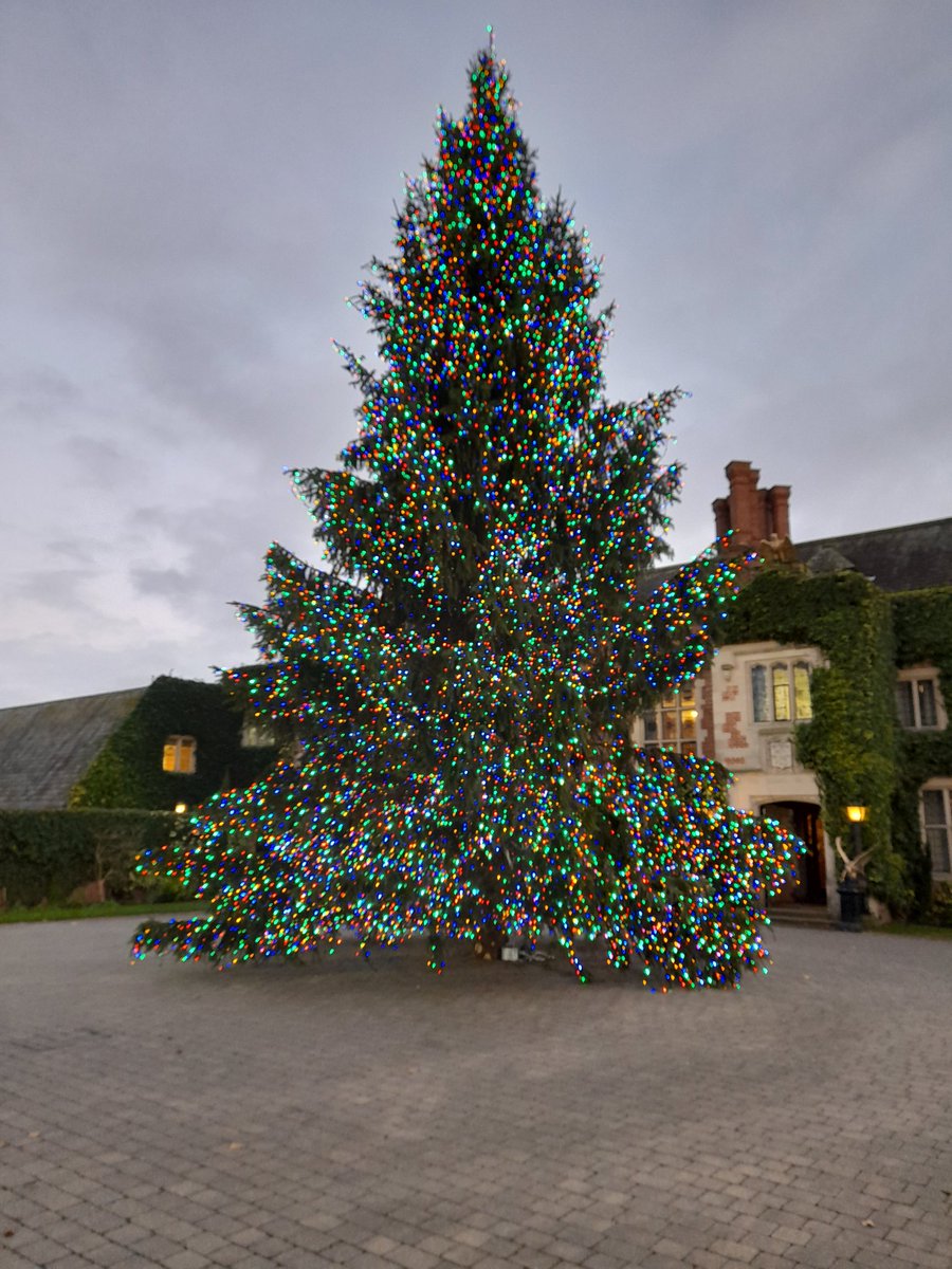 Merry Christmas and a Happy New Year!!