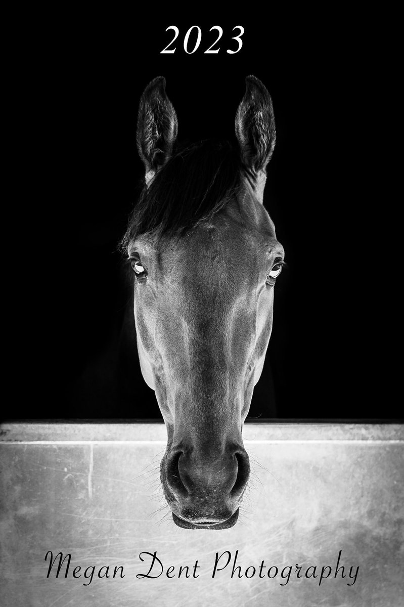 🎄💥 COMPETITION TIME 💥 🎄
Win a 2023 Calendar Bundle - 1 Wall Calendar &amp; 1 Desk Calendar. Winner chosen at random 7pm tomorrow. Simply RT to enter…Good luck!