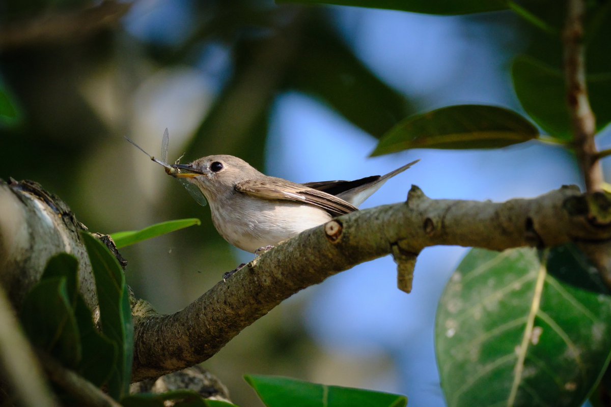 Ramprakash Ram Mohan tweet media