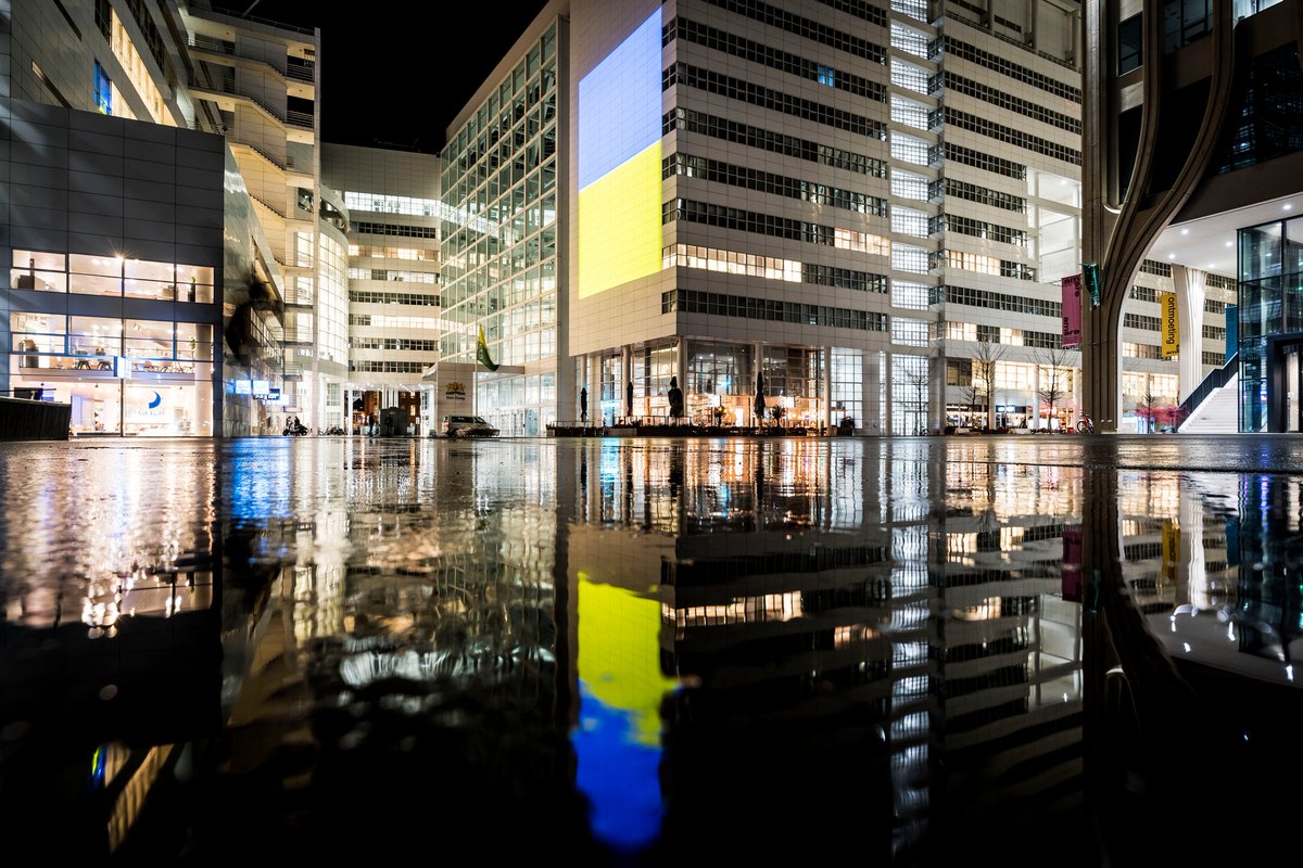 Gemeente Den Haag tweet media