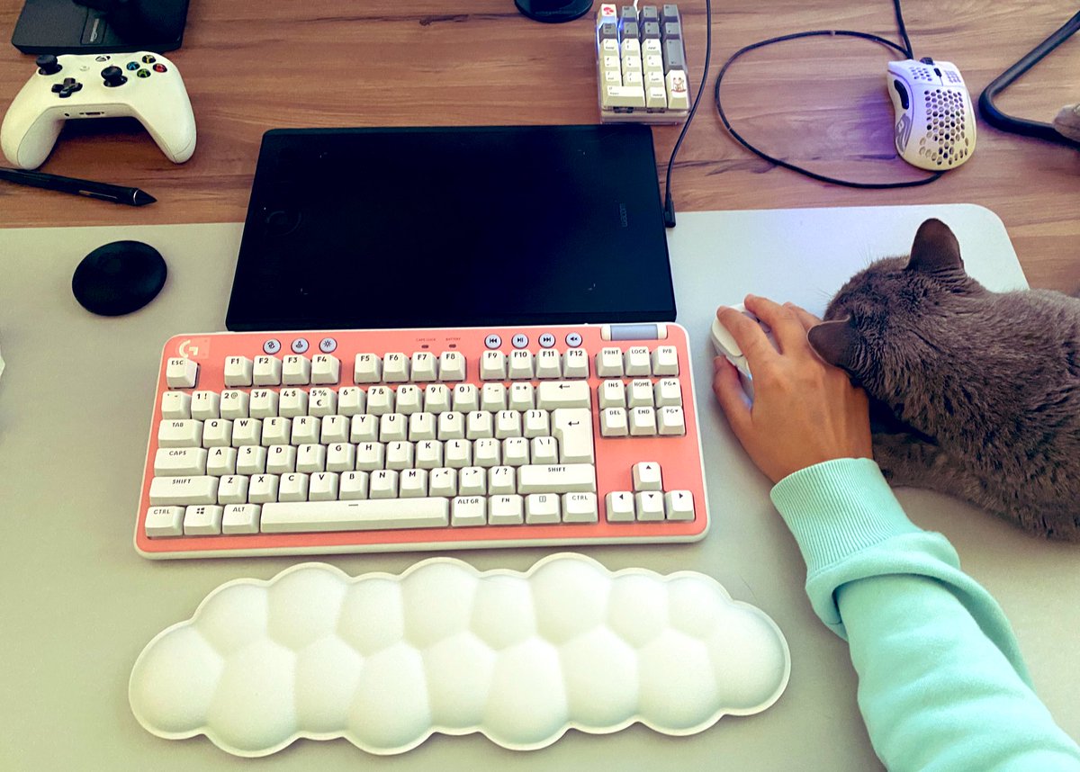 AnnInSunderland's tweet image. Came home to find my birthday present 🎁… (and my cat being more needy than usual) #logitechG715