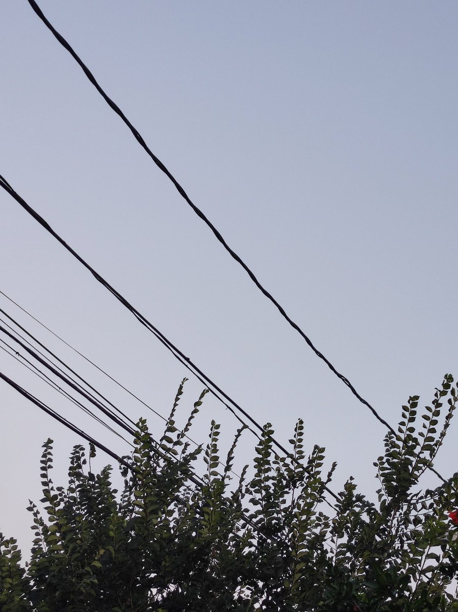 Parece cualquier día de Julio lleno de niebla en Cerrillos #IncendiosForestales