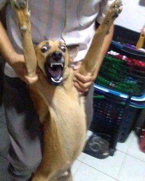 ONONGANII's tweet photo. *After the visitors have gone*

Mom: Iwe chilete kuno icho nichinyeshe 😡

Me: https://t.co/Hx4F90jJhC