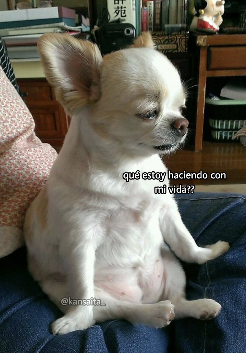 yo cada vez que me suena la alarma