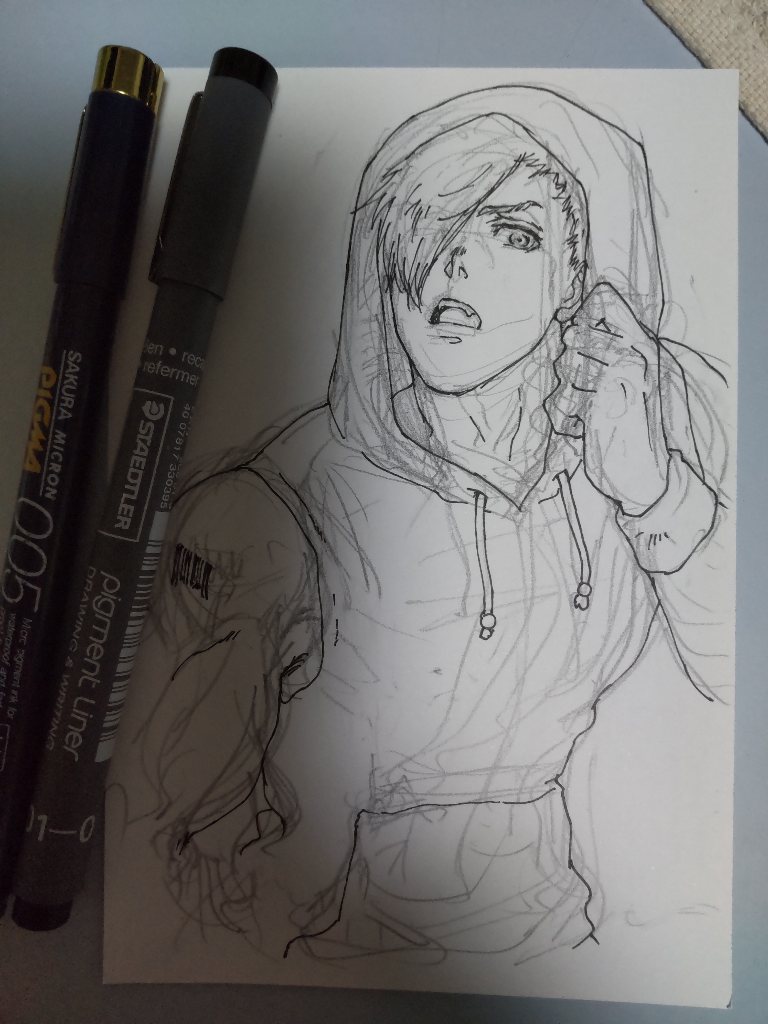 36:せっかくだから描いてみた( ˙꒳˙ )
100均のハガキ用紙・2Bシャーペン・ステッドラーとサクラのミリペン・コピックの黒 
