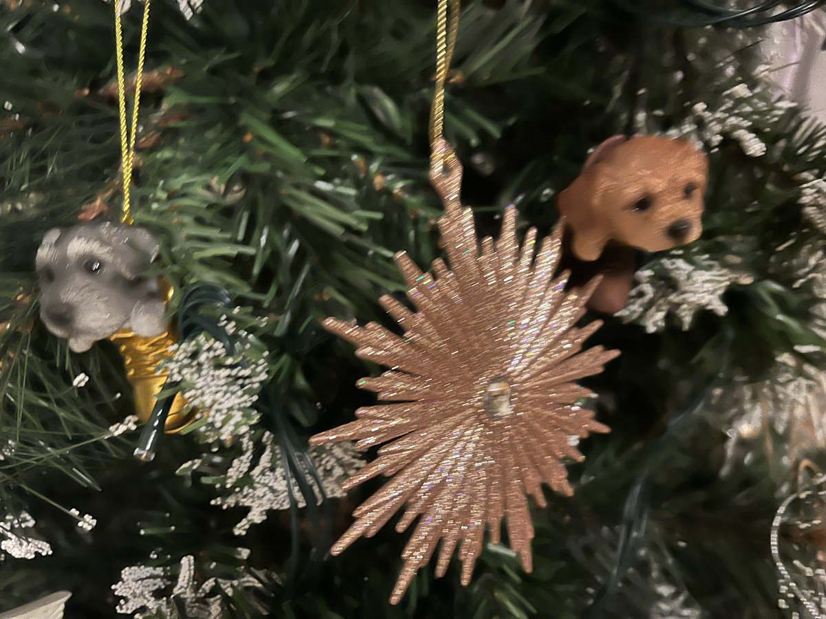 themeganlucy27's tweet photo. #badpicture but finally got Willβs her own ornament for the tree π and of course Lokes shining already! https://t.co/zFB6RXaqtU