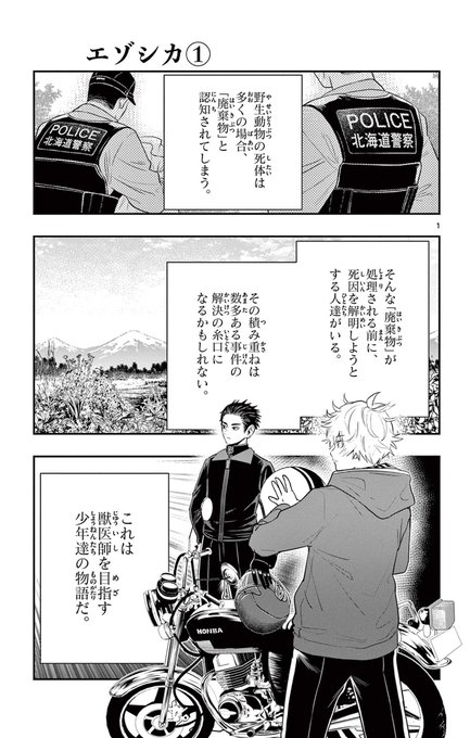 死んだら涙は出ない…はず🦌
1/5 