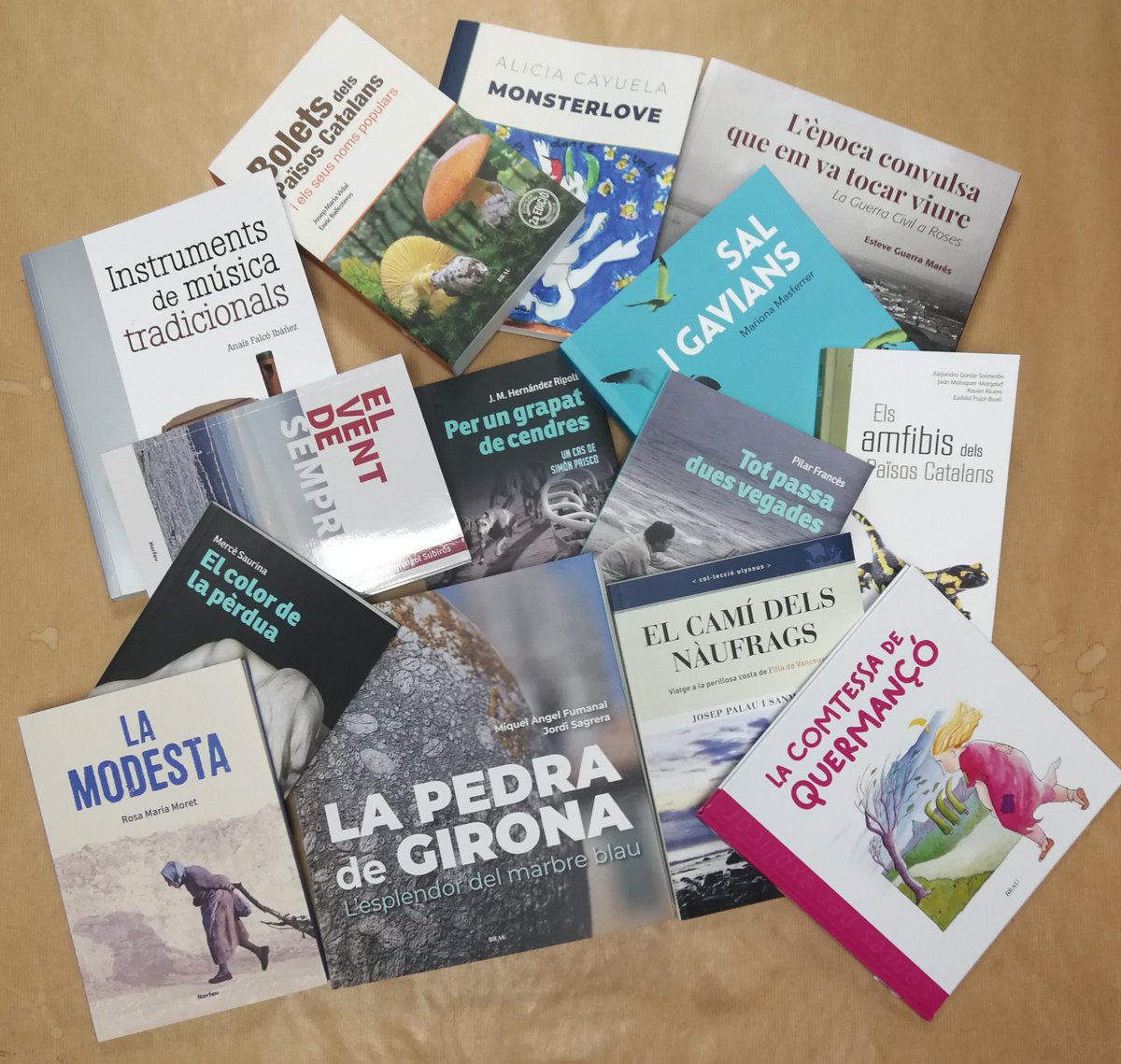 No se t'acut que regalar per a aquestes festes? Què et sembla un llibre? Tria i remena entre la oferta de Brau Edicions!
<a href="/violinaire/">Anaís Falcó</a> <a href="/Marionamasf/">Mariona Masferrer</a> @JMHendezRipoll <a href="/MerceSaurina/">Mercè Saurina</a>