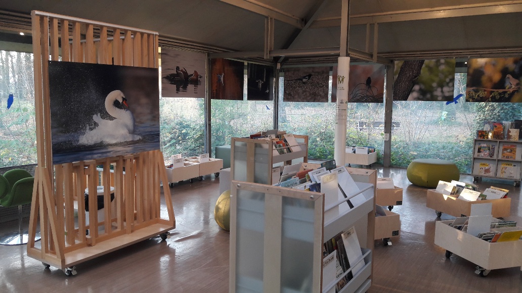 Exposition de photos animalières à la Maison Paris nature du 17 décembre au 15 janvier. paris.fr/evenements/ren…