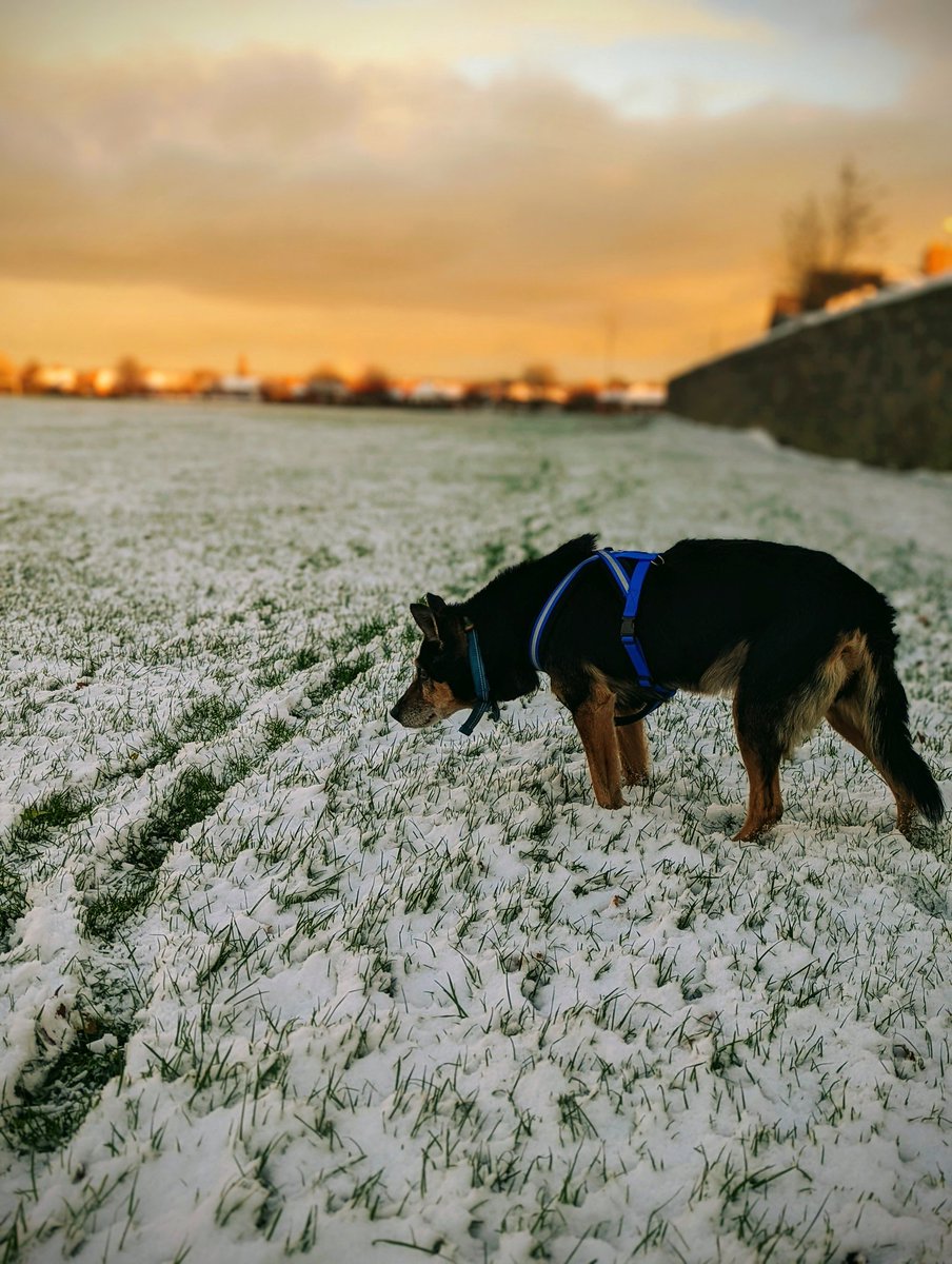 Cain 🌈 tweet media