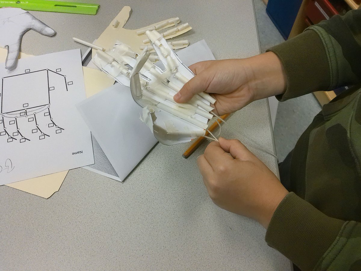 SolleySTEM's tweet photo. SolleySTEM 4th Grade students begin stringing their prosthetic hands. @SolleyAACPS @eeeaacps https://t.co/Hlf7FNlv5f