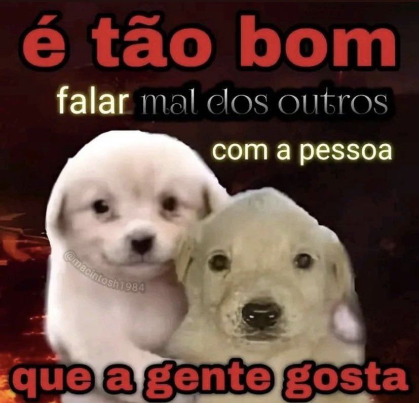 se a terra não é plana como explica o céu reto? (@moreiraviw) on Twitter photo 