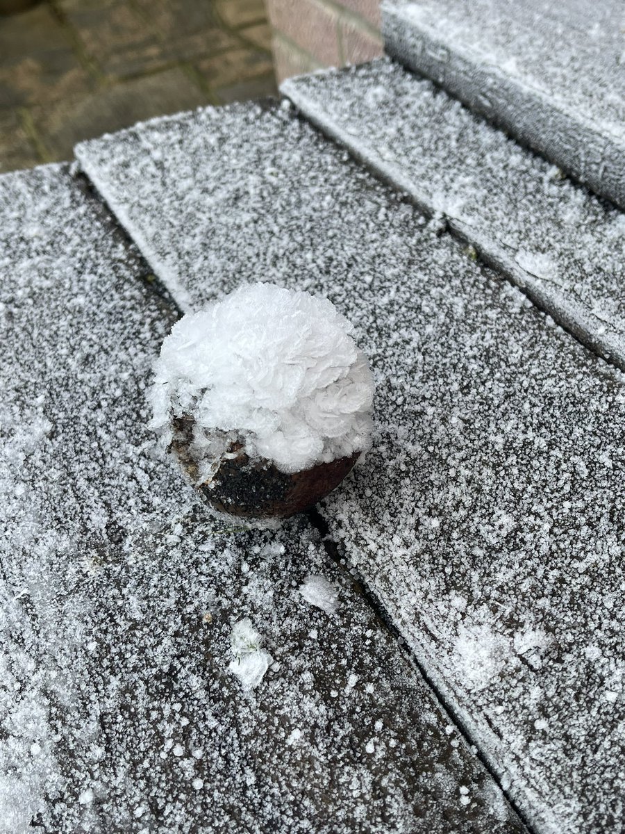 G7ENN's tweet image. Fractals in nature are incredible, often such a simple set of rules. #BasicBuildingBlocks #IcePetals #Fractal