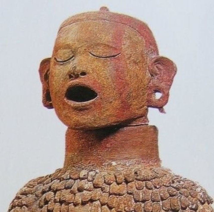 Día 2 solicitando que <a href="/HumanXipe/">Xipe-Tótec</a> cambie su foto de perfil