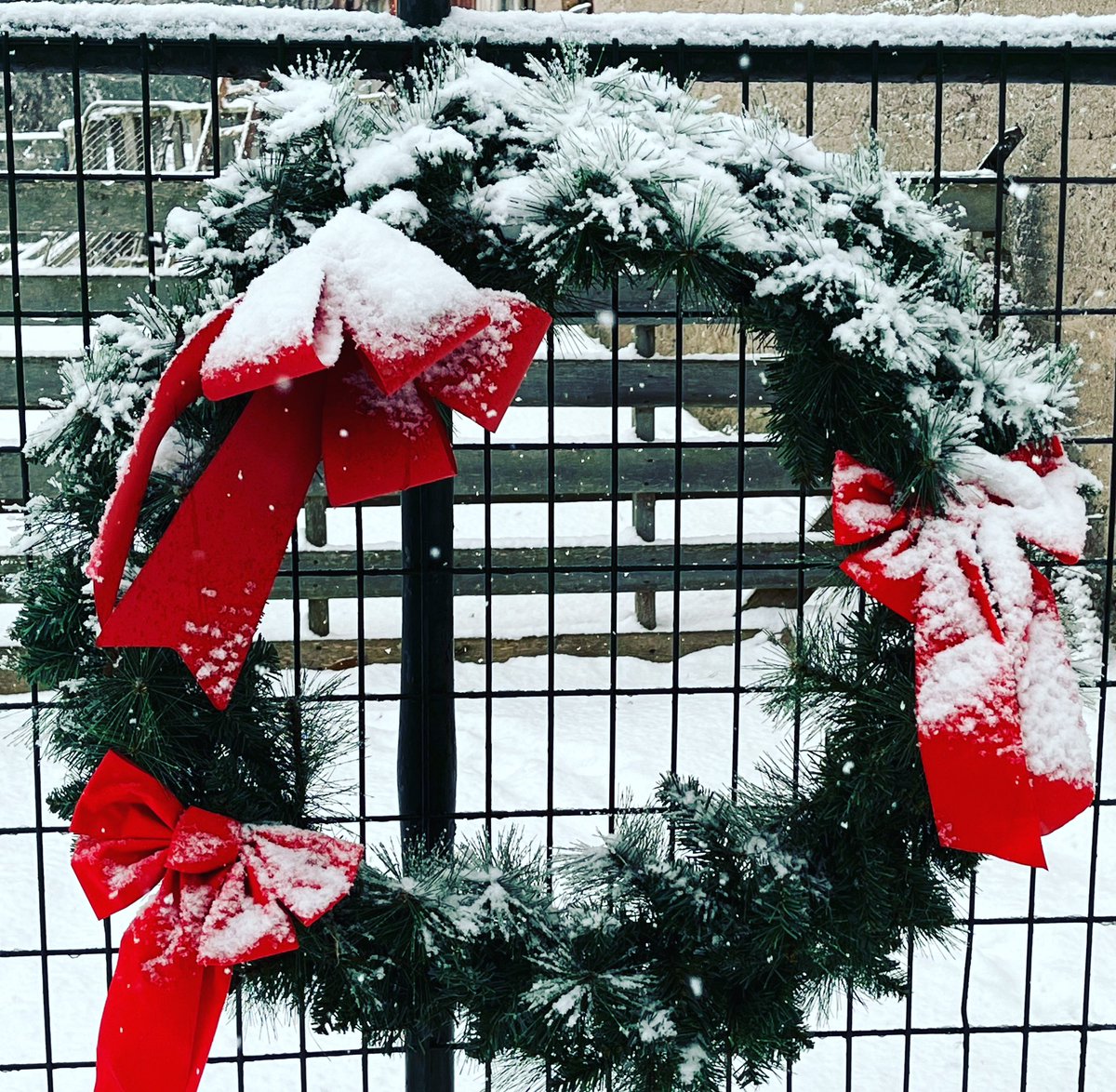 countytshirts's tweet image. Happy snowy day! If you don’t want to go outside today, shop online! We are still shipping within Ontario/Quebec and it’s Free shipping over orders of $125! Live locally? Buy online for quick pick up - if you pick up on the weekend, there is easy parking right outside our door!