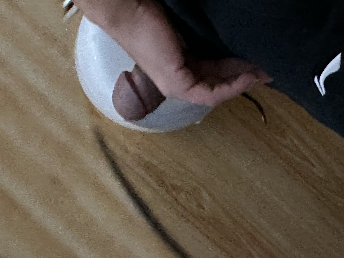 深圳湾公园鸟洞吃了几根大鸡 #鸟洞#