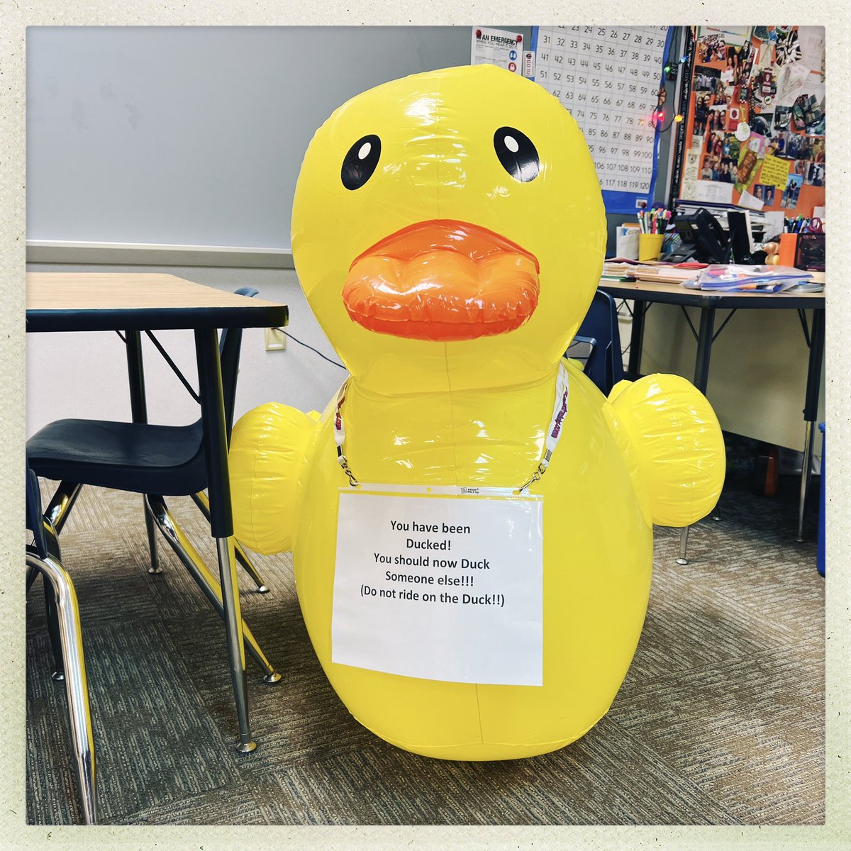 MrsLeininger3's tweet photo. First there were little ducks all over JB then bigger ducks, then babies, followed by pigs, unicorns, Santa ducks, ninjas and now giant ducks!  #jbsrocks #gcsc #wegotducked https://t.co/th57EBBfjs