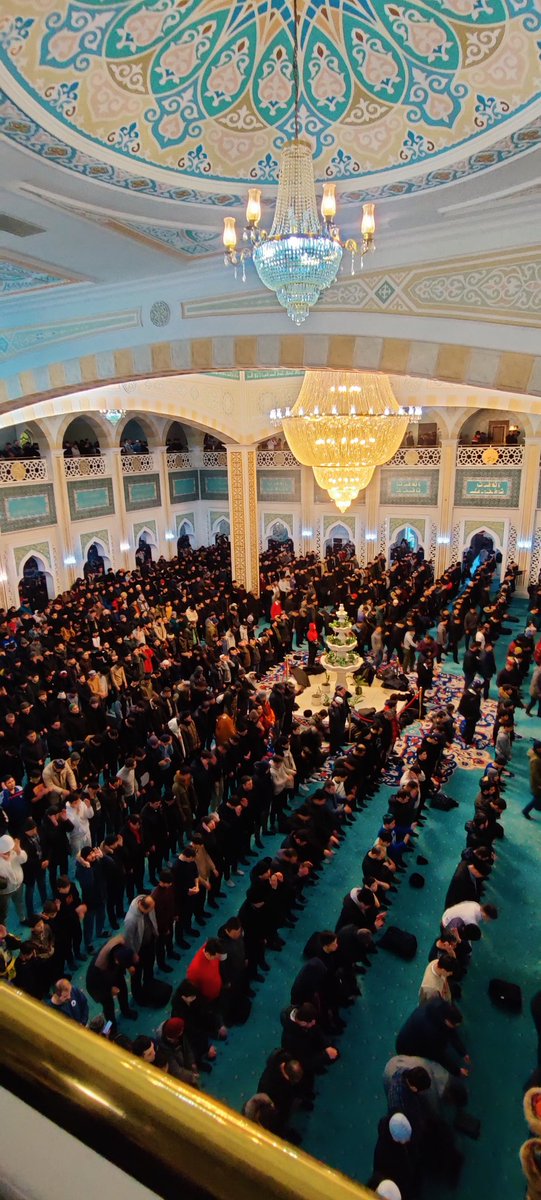 AFREEN NABI tweet media