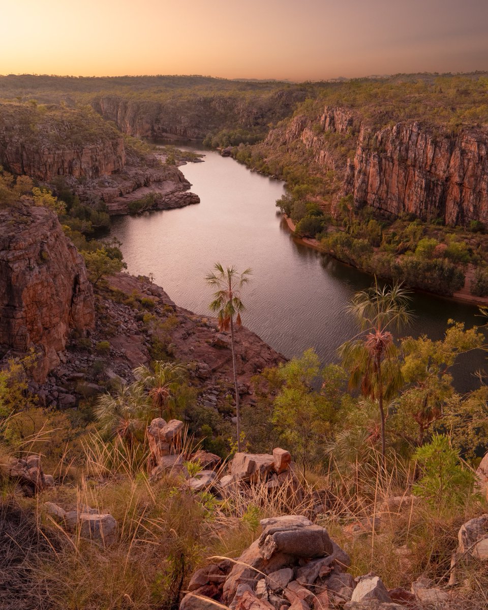 How about an 8km or so hike through the hills of Nitmiluk National Park to finish the day! The sunset views of Katherine Gorge here where worth every step.

#nitmiluknationalpark #katherinegorge #cuinthent #katherinent #patslookout