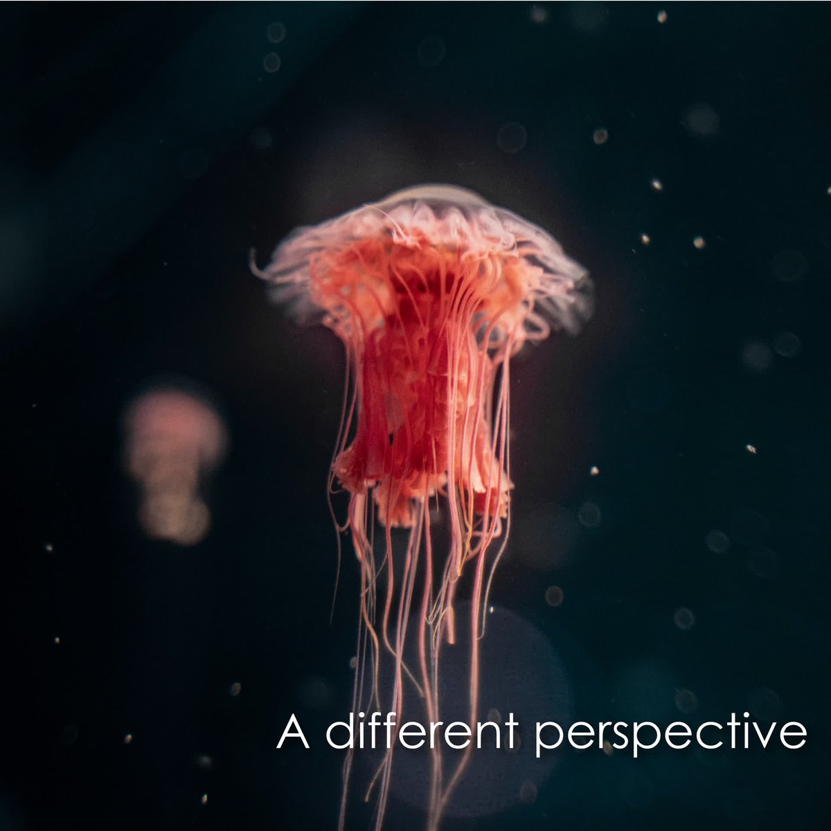 Biology 140 lets students enter the world of scanning electron microscopy.
Get the full scoop at SchoolcraftConnection.com