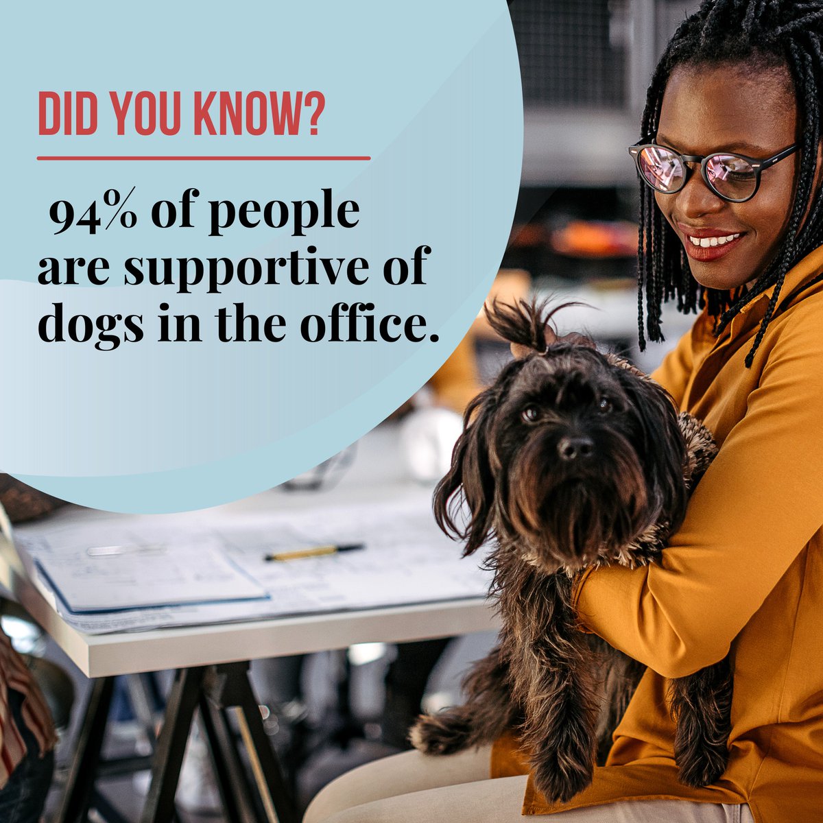 Dogs are a hit in the workplace, with 94% of people studied by LiveCareer supportive of dogs in the office (via <a href="/Forbes/">Forbes</a> <a href="/TracyBrower108/">Tracy Brower</a>): bit.ly/3GSCtx8

Keep your dog calm among colleagues with the Settle-Strap!

bit.ly/3CrXlY9

#doglover