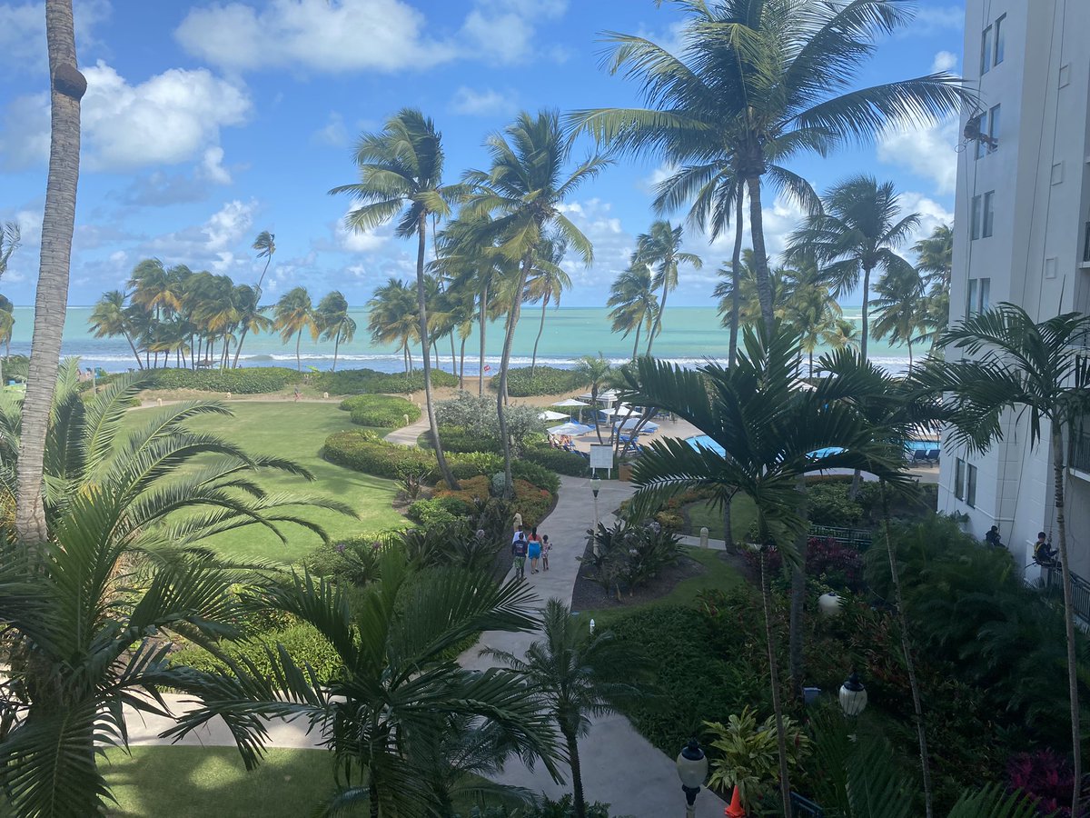 Tough place to recruit for the weekend😂. Puerto Rico for the weekend looking for future <a href="/BarryUBaseball/">BarryU Baseball</a> Bucs!