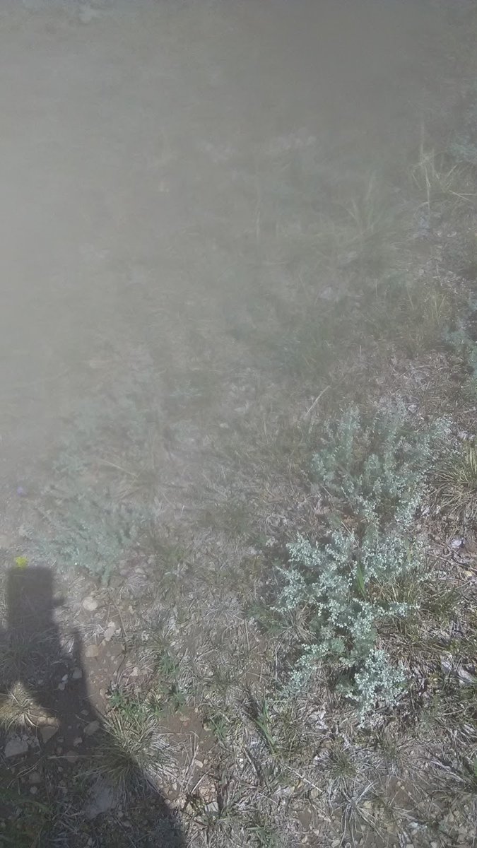 New town every hour on Twitter "Eagle Butte, South Dakota Population