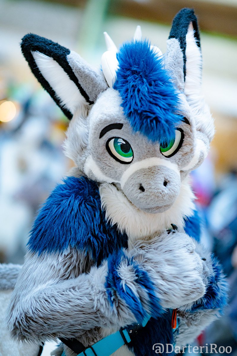 Ryius @NFC🚵♂️ tweet media