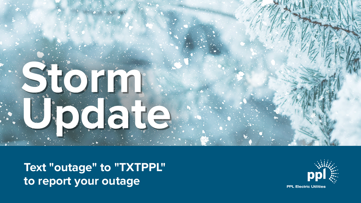 Close up of ice covered tree