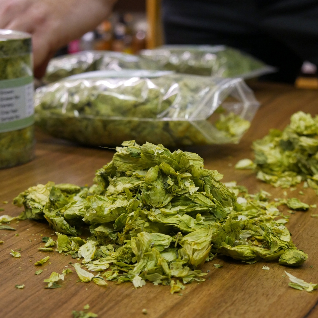 LaconsBrewery's tweet photo. Thanks to @CharlesFaram for bringing along a selection of outstanding quality hops. 

The brewers have picked our hops for 2023 and we’re looking forward to brewing some great beers next year. 

#hops #charlesfaram #craftbrewing #beerwriting #britishbrewing #localbeer https://t.co/R8lPiV4nwT