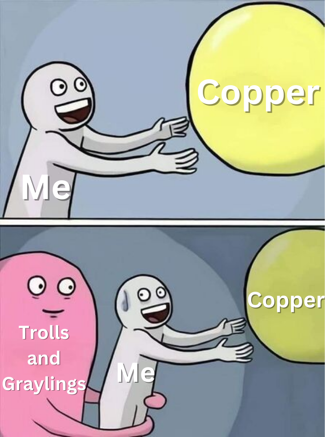 CalmCoati's tweet photo. Early game #valheim be like: https://t.co/NanrRuqUux