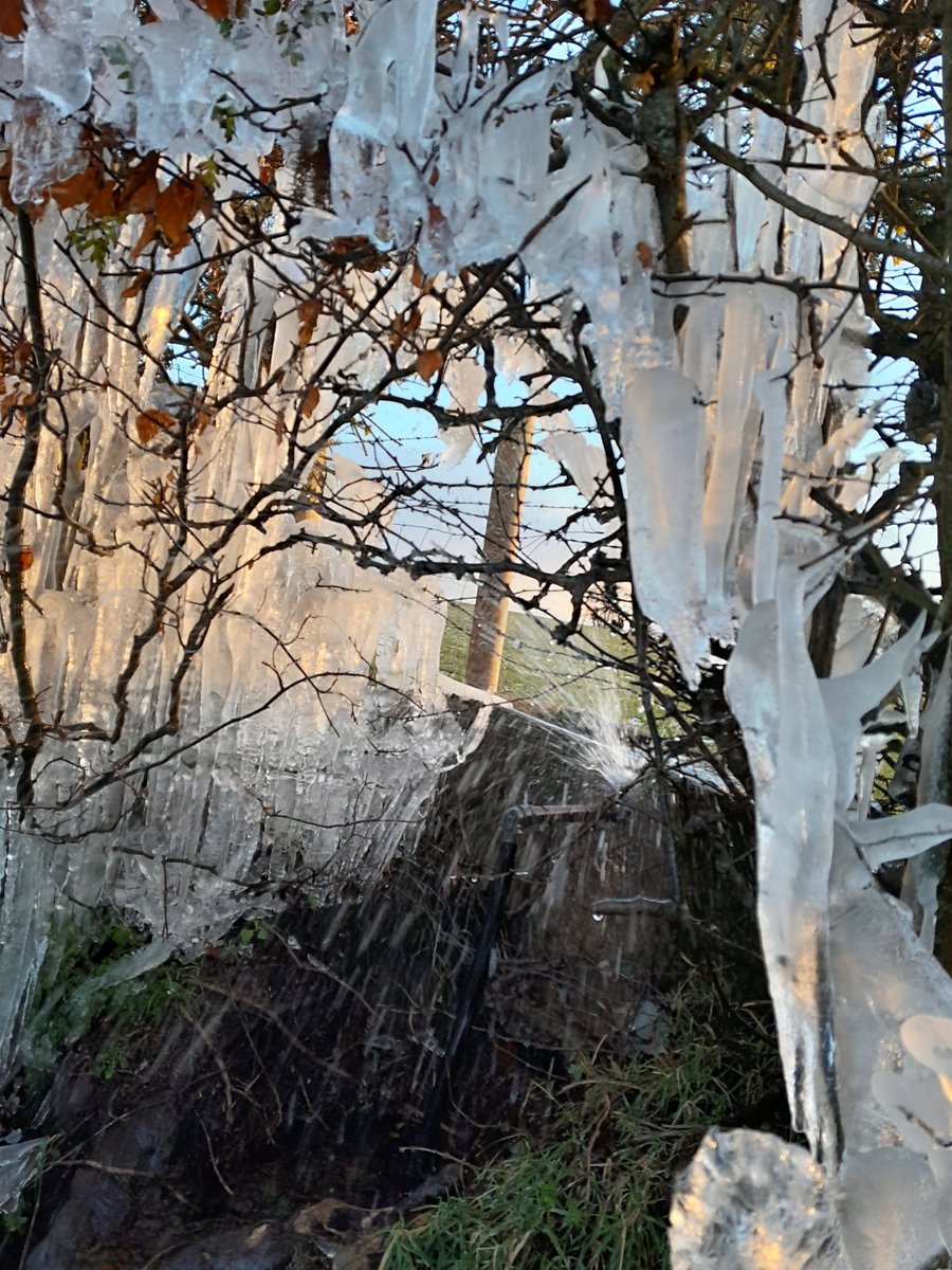 niwnews's tweet image. We're seeing a significant increase in demand for water as a result of burst pipes &amp;amp; leaks across NI. Our pipes are buried in many inaccessible places so if you come across a leak or burst pipe please let us know by reporting the details on form below⬇️ 
niwater.com/report-a-leak-…