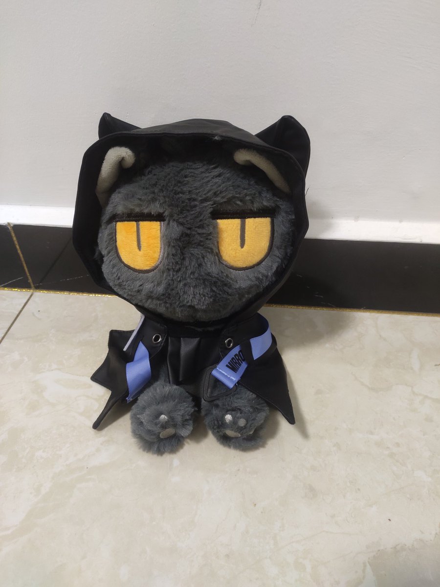gu_ouye's tweet photo. 厌世猫猫脸，好久之前的快递了，因为疫情现在才到 #明日方舟 https://t.co/OhpelWnYTD