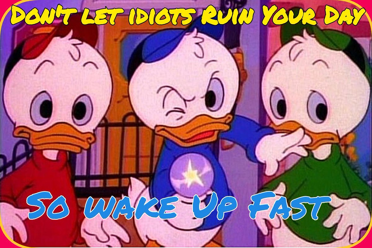 ruben_corella's tweet photo. #dontlet #dont #quote #quotes #quoteoftheday #felizfinde #idiotas #idiots #whatelse #idiot #patitos #ducks #wakeup #despierta #reflexión #frase #animalitos #frasedeldia #goodvibes #funday https://t.co/Eq4nkPby7z