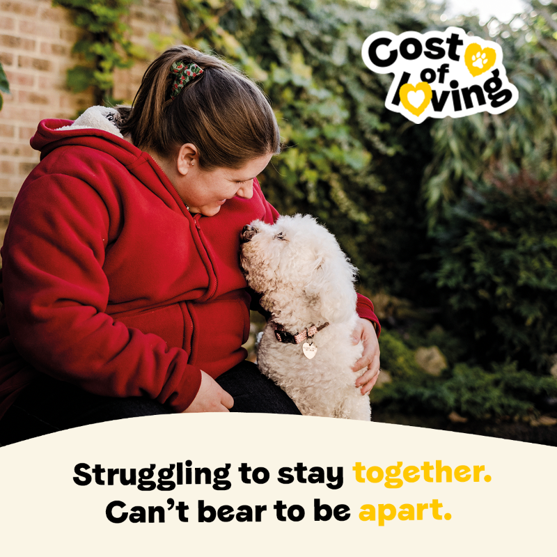DogsTrust's tweet photo. Help us prevent dogs and their owners from being forced apart due to the cost of living crisis 🐕❤️