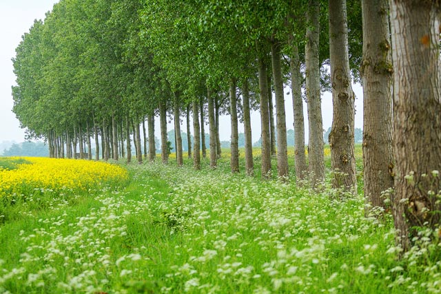 🚨 <a href="/NoningtonFarms/">Nonington Farms</a> is looking to appoint an Assistant Farm Manager! 🚨

Get more information on this exciting opportunity 👉 ow.ly/3Ehh50M4Oh2