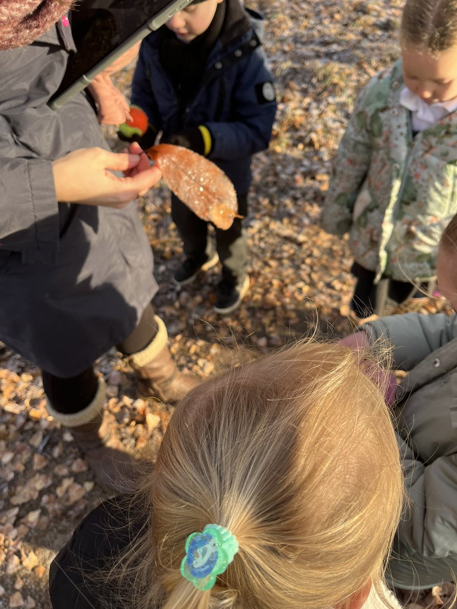 Mrs Callaghan tweet media