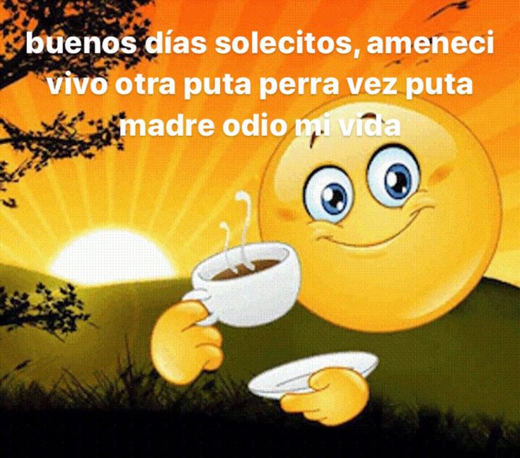 ̸̷˖໋࣪☄️̷̸seaswallow!. ˳ ࣪ ʾʾ tweet media