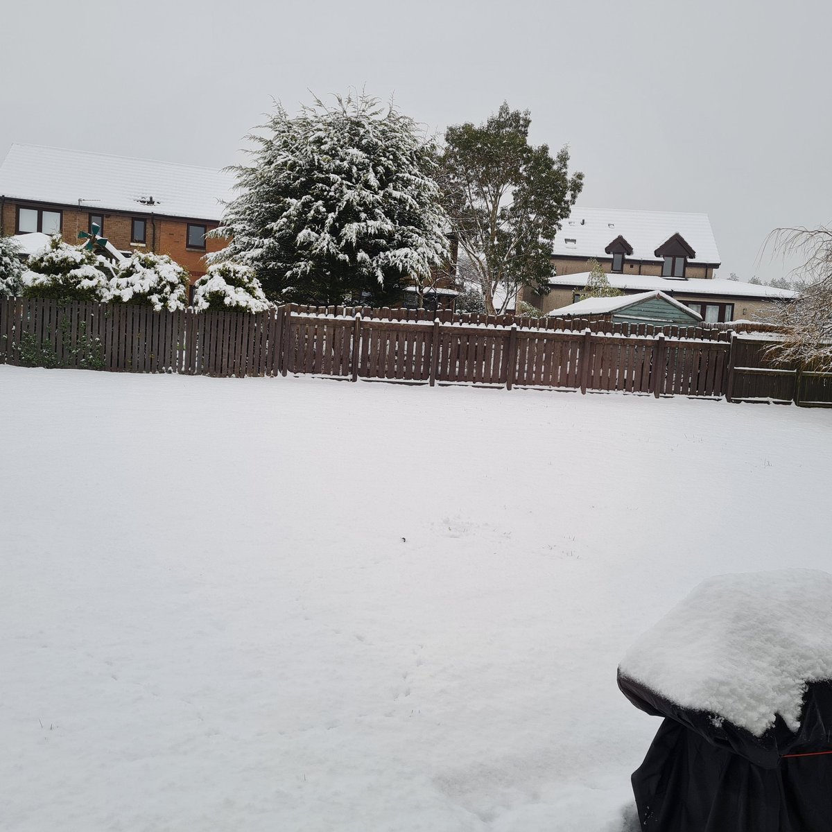 Craig Dolier tweet media