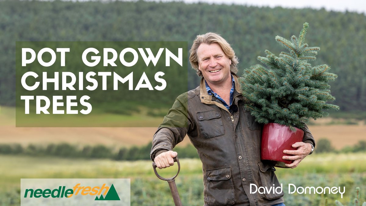 David Domoney tweet media