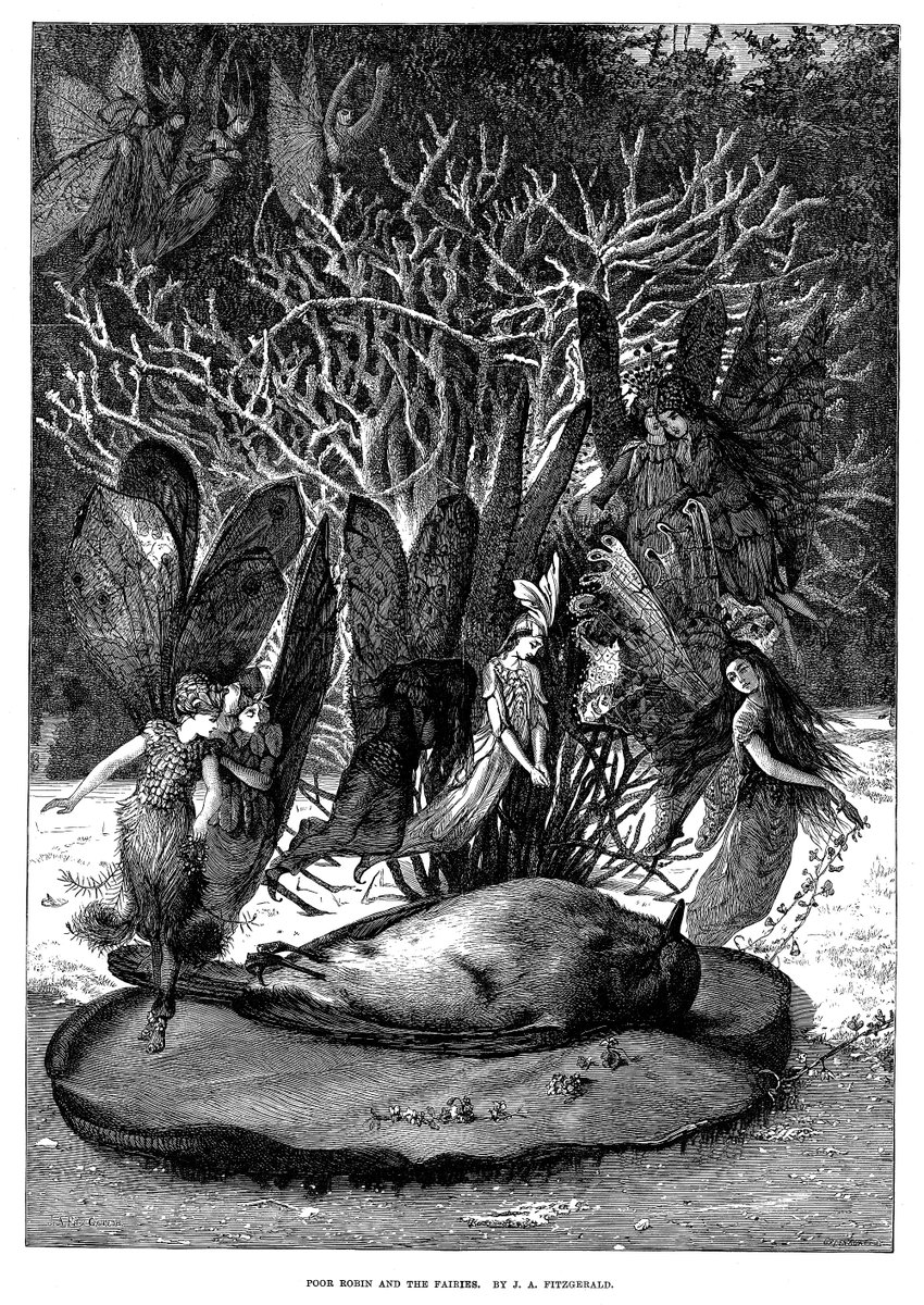 AnnieBrassey's tweet photo. Not flying so much at the moment. "Poor Robin And The Fairies." By John Anster Fitzgerald (1819-1906), from The Illustrated London News Christmas Number 1876. Merry Christmas everyone! #FaustianFriday #PoorRobin #Robin #Fairy #Fairies #Victorian #Christmas #History #1870s #Art https://t.co/CFh6gTlRbU