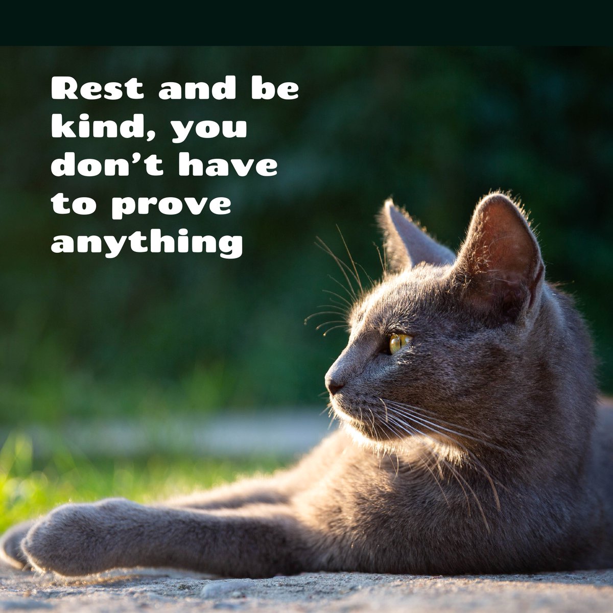 BetterMood777's tweet photo. Rest and be kind, you don’t have to prove anything. 
Jack Kerouac https://t.co/0AbutRiQib
