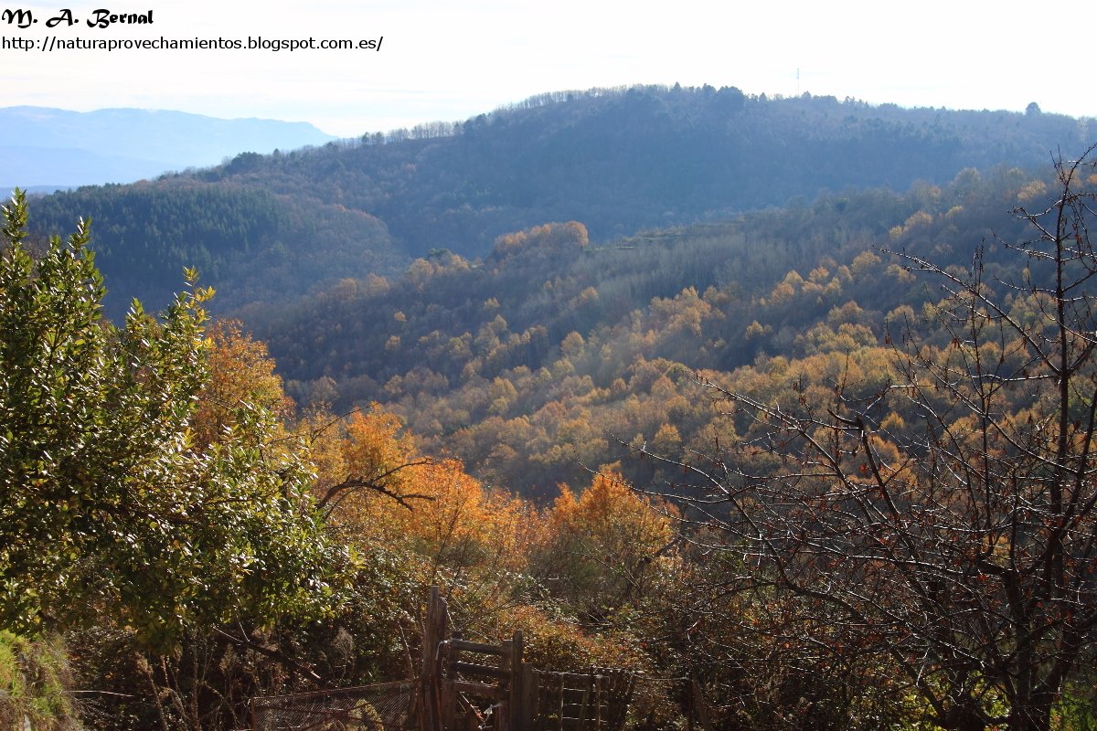 Una de las mejoras #rutas de #senderismo de la provincia de #Salamanca para realizar estos días es la del agua. Itinerario circular en plena Sierra de Francia, entre #Mogarraz y #Monforte, con abundantes cascadas hará las delicias del visitante #naturaleza
naturaprovechamientos.blogspot.com/2016/03/camino…