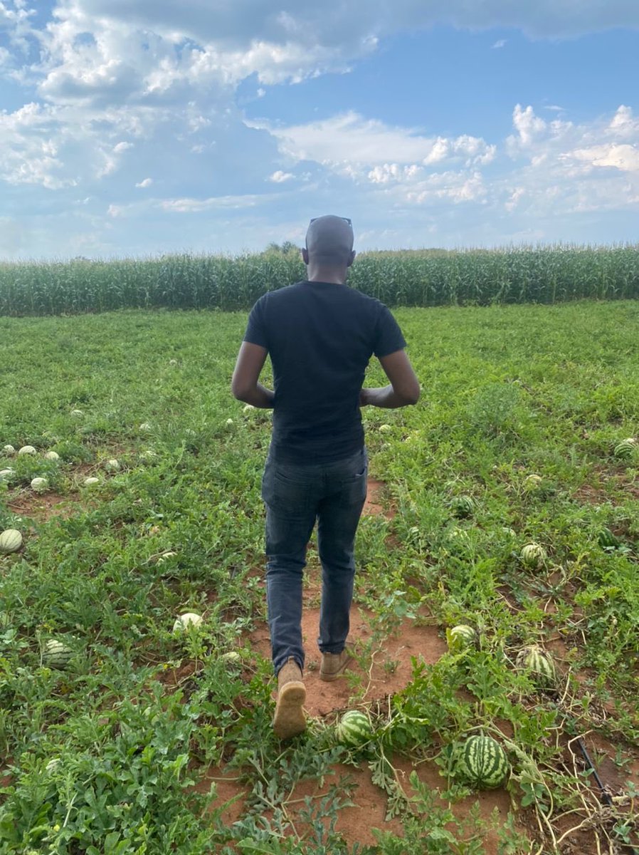 Jebba11's tweet photo. Happy space 👌👌

NB: Gase tshimo yame 🙏🙏 https://t.co/3NhLm5xwXQ