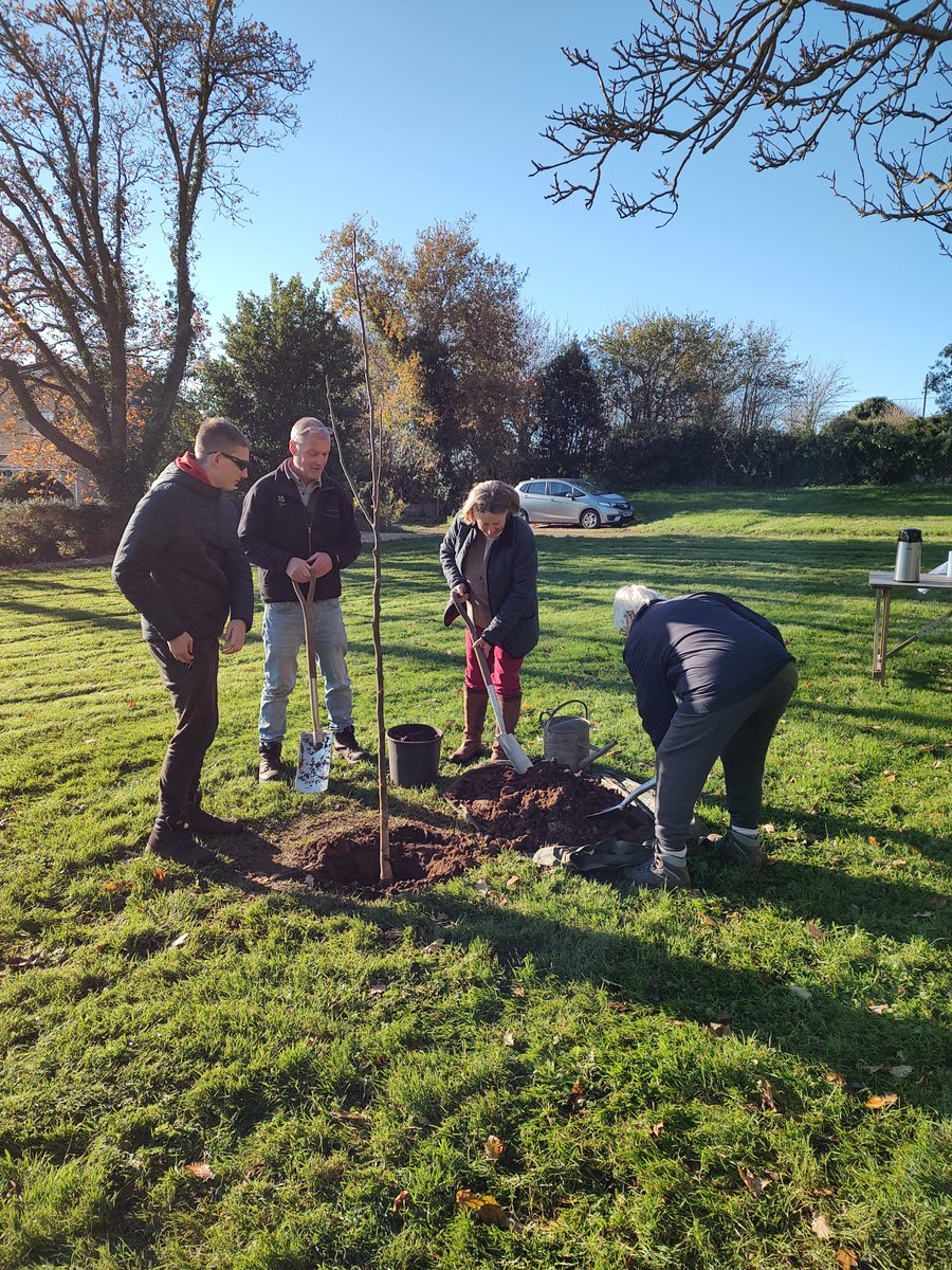 Our volunteers & Didi Nicholson, (who has familial links with Mottistone Manor) have been braving the weather to plant a walnut tree on the green at Mottistone. It's part of the #QueensGreenCanopy, & completes the the circle of walnut trees around the village well. 
© Liz Burger