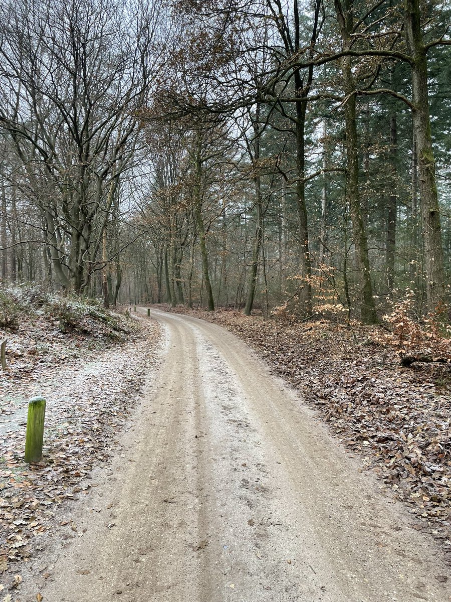Zo kom je nog eens ergens op een vrijdagmorgen. Een oase van rust in dit prachtige gebied! #Veluwe #GelderseVallei #Putten
